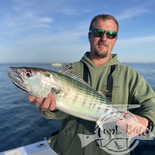 Had a great time showing a fly guy from the Adirondacks some new species and what NC has to offer! Started out slow early but stayed the course and got on a pretty decent Atlantic Bonito sight casting bite. After a handful of good fly eats my man was finally able to check that one off his list. We played with them for a while before deciding to take a ride.

I laid out a few options for him and he said “I just want something that pulls hard” so off to the trawlers we went! He was stoked just to witness the mayhem, after a few nasty eats it was time for battle! 
 
Stopped on the way in and played with some blitzing blues on poppers!

Perfect April day in our neck of the woods!