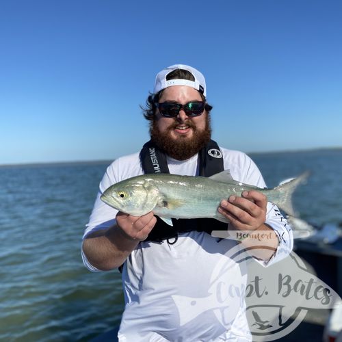 The last week has been full of Spanish mackerel, sharks, redfish and some fun size bluefish on topwater! 