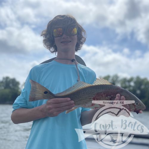 Had three young men and their dads this morning catching Spanish, flounders, bluefish and the fish they nicknamed “Loser fish”(lizard fish) 