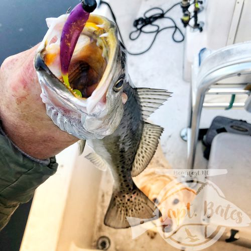 Mixed bag in post cold front conditions, I love teaching anglers a new technique they’ve never fished before and seeing them build confidence in it throughout the day!