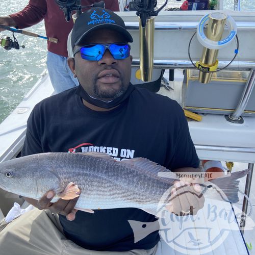 This two boat trip grounded through some tough fishing and it paid off big time for the last hour of a half day! I love big group trips that cut up and talk junk between the boats hahah