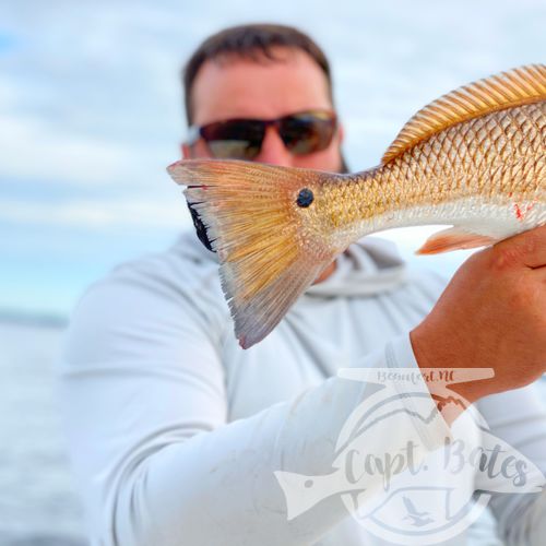 These guys spent a day looking for trophy red fish on fly rods, conditions were tough to say the least, second day we showed them how to catch red fish on topwater and they loved it! First time for them catching them on top!