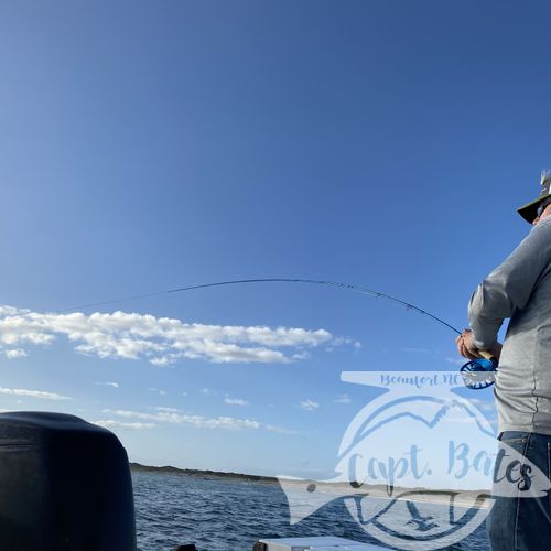 “Organized Chaos” was the phrase of the afternoon on an incredible false albacore blitz! Doubles, triple hookups on fly, swimming to remove a fly line from prop, fish Bustin so close to boat hard to cast to, and 11year old Buddy yelling “Trout set!” To Greg 