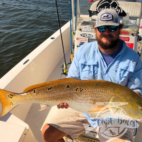 Great day for Andrew! He’s no stranger to these trophy reds, and it shows! From the way he fought them, putting lots of pressure on them to get them in quick, to the way he knew how to revive and release them! Had a ton of fun with this bachelor party group this afternoon, what a great idea! 