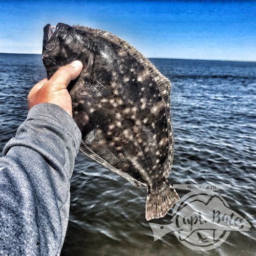 Flatfish flounder fun!