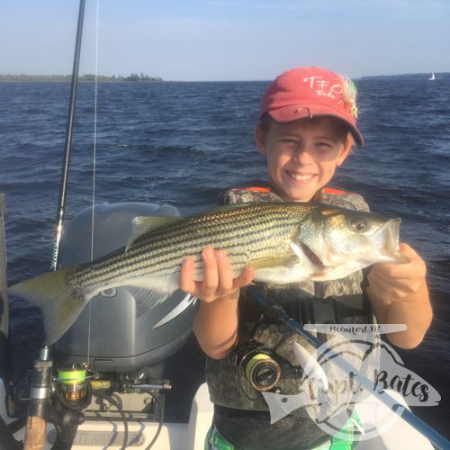 Another great rockfish from the Neuse River North Carolina!