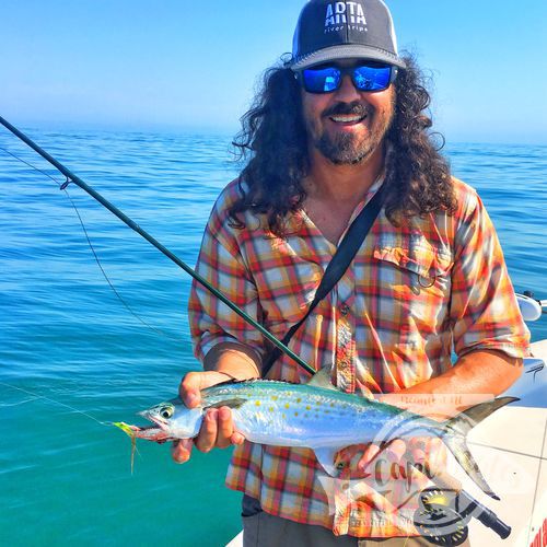 5 weights and spanish mackerel are a match made in heaven! A first saltwater fly species for a many a angler! Could be considered the gateway drug into saltwater flyfishing!