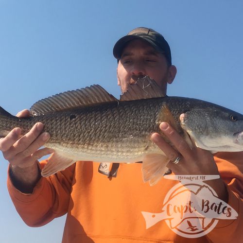 Topwater redfish mixed in with trout and striped bass! Cant beat fishing the wood around New Bern!