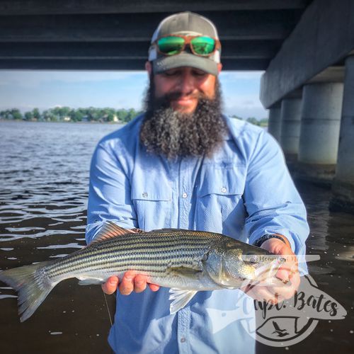 Summer time fun with the bearded wonder catching rockfish on topwater in New Bern North Carolina.