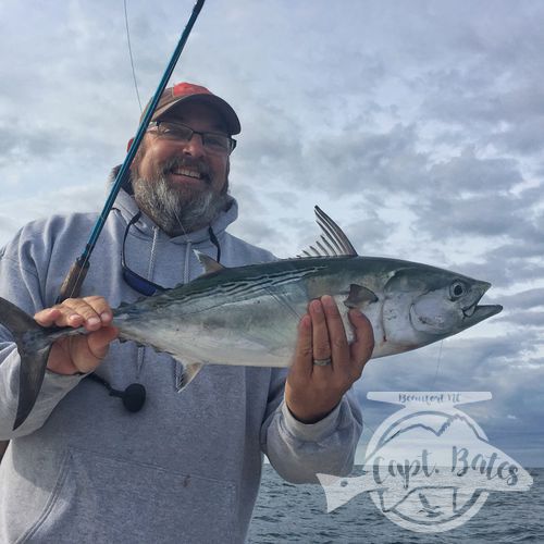 Capt Jay getting it done on the TFO inshore series rod and FFP Osprey 5000 on busting false albacore!