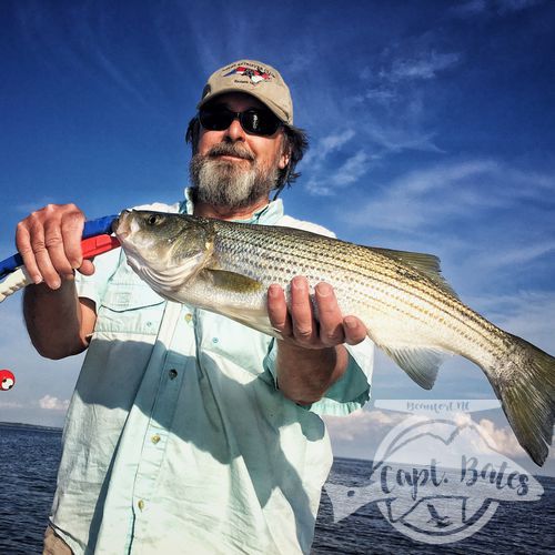 An early spring rock fishing jigs on ledges in New Bern North Carolina.