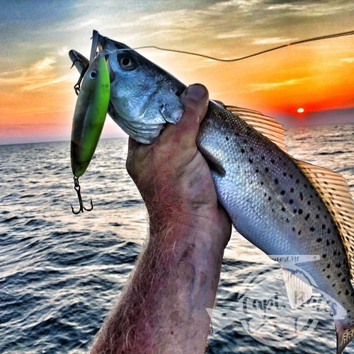 Early bird gets the...Topwater water trout! with one of the best sunrises you'll ever see! Sleep in on vacation and miss this??