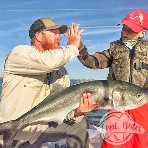 Big ole Hatteras bluefish on topwater!