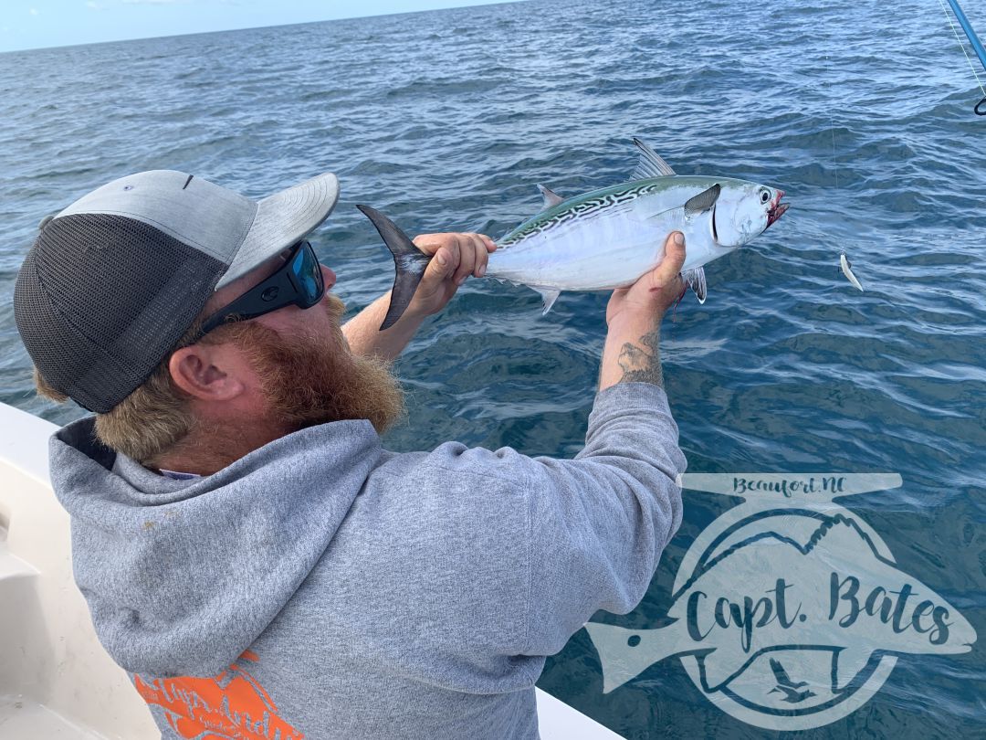 Fish were a little harder to find during the Cape Lookout False Albacore Festival tournament, but we put our noses to the ground and tracked em down!

We boated fish on the fly and spinning rods, Nick put the most albies in the boat for the tournament but we got beat out by the guys that loaded up on bluefish racking up points.

None the less, we had another great day and had an acre of fat alberts feeding up top on a giant bait ball for 30 minutes all the ourselves!! Nicks first fish of the day was the biggest I’ve seen yet this year! A solid 12-14 pounder!

Thanks for an awesome few days guys! I love meeting new friends and catching awesome fish!!!