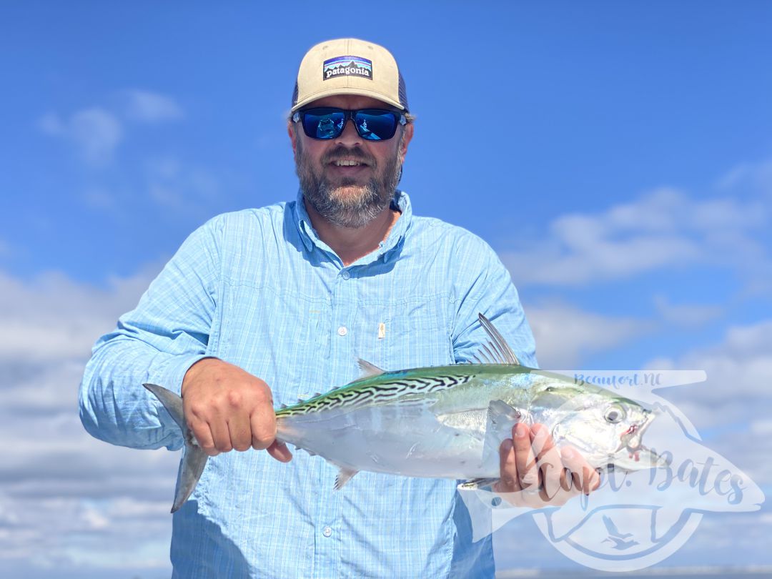 After being taunted by these unicorns for a week!  Finally, today one of my guys was able to put the @templeforkoutfitters inshore medium to the test! Seen a few bust in the albies and had textbook marks, then watched this guy eat a soft plastic 30’ from boat. Few other misses, but a citation blackfin on trout gear and #albiesnaxx in addition to first albies on the fly for these guys turned a slow morning into an incredible afternoon! Picked away at a few fish all morning then found the blitzes we were looking for! Ryan Hurd
#blackfin #blackfintuna #albies #falsealbacore #albies #lighttackle #flyfishing #flyfishingaddict #fishingaddiction #flyfishingadventures #flyfishingjunky #atlanticbeachnc Temple Fork Outfitters
