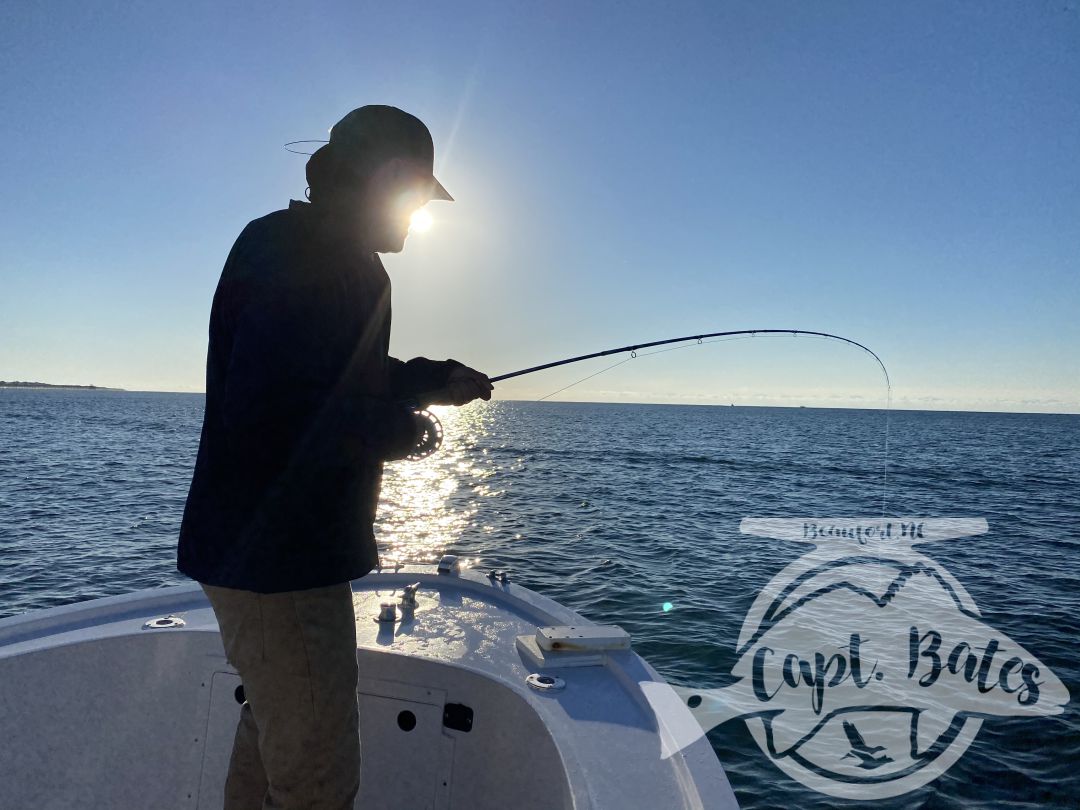 Fun times and excellent fishing today! By 0830 Gary said he had enough to write the article for @fishermans.post and he caught his first #falsealbacore on fly!! But we couldn’t stop there, we had to go see what #capelookout is famous for and she didn’t disappoint. Baitballs and blitzing fish. #atlanticbeachnc #flyfishing #albiefever #saltwaterflyfishing #fall #fishing #flyfishingaddict #albiethere