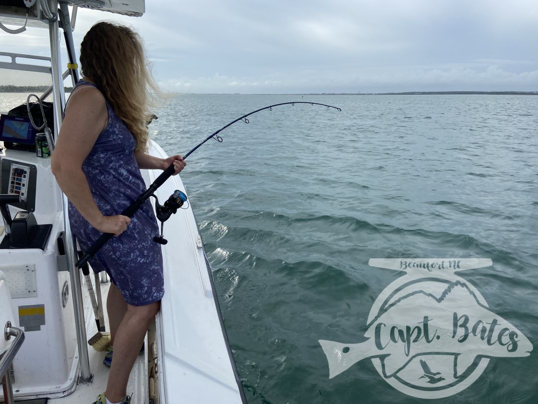 This mother and son wanted sharks and they stayed battling toothy critters all evening! A bunch nice blacktips, hammerhead, and sharp nose.