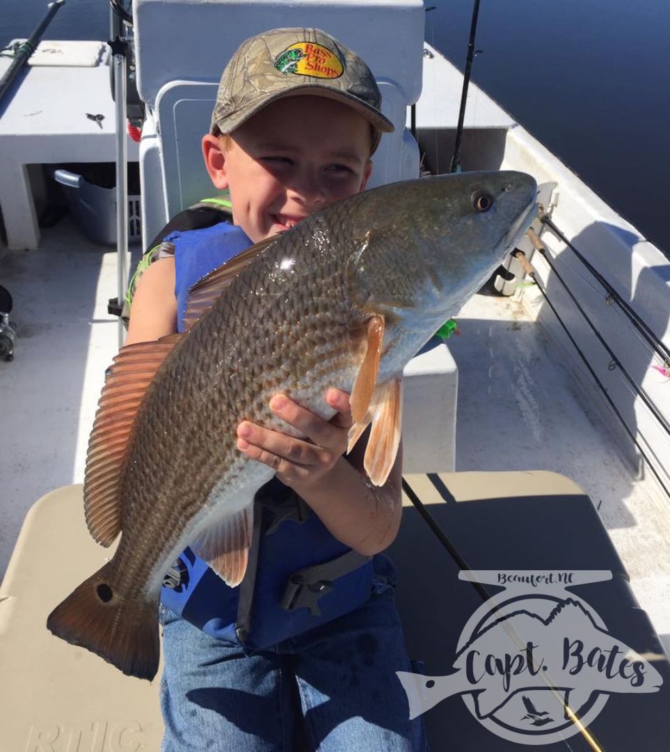 Summer time topwater redfish in the marsh!