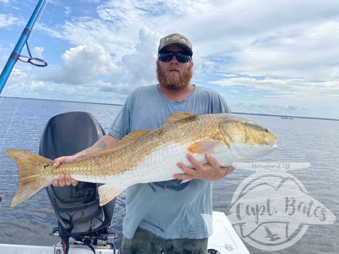 We officially kicked off our trophy drum season today! As they have finally shown up in good numbers, slightly delayed start this year but fortunately, the trout and puppy drum fish has been dynamite to hold us over, but it’s now time for the main event! Killer day with my main man Buddy, double digit landed multiple missed opportunities and even had on try to eat the popping cork! World class Neuse river redfishing at its finest!