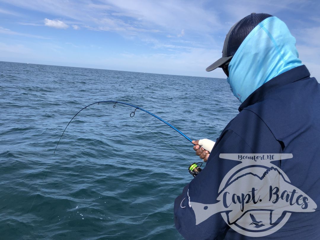 Nick and Greg got to see some of the best action we’ve had albie fishing around Cape Lookout all year! 

Fish were on baitballs and eating well! 

Nick caught his first albies ever! And Greg got his first ones ever on the fly rod!

I love seeing the excitement anglers show when they witness the mayhem this fish create when they are feeding good! This fishing never gets old to me and still get wound up seeing guys connect!