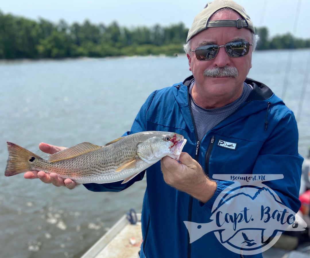 The last week has been full of Spanish mackerel, sharks, redfish and some fun size bluefish on topwater! 