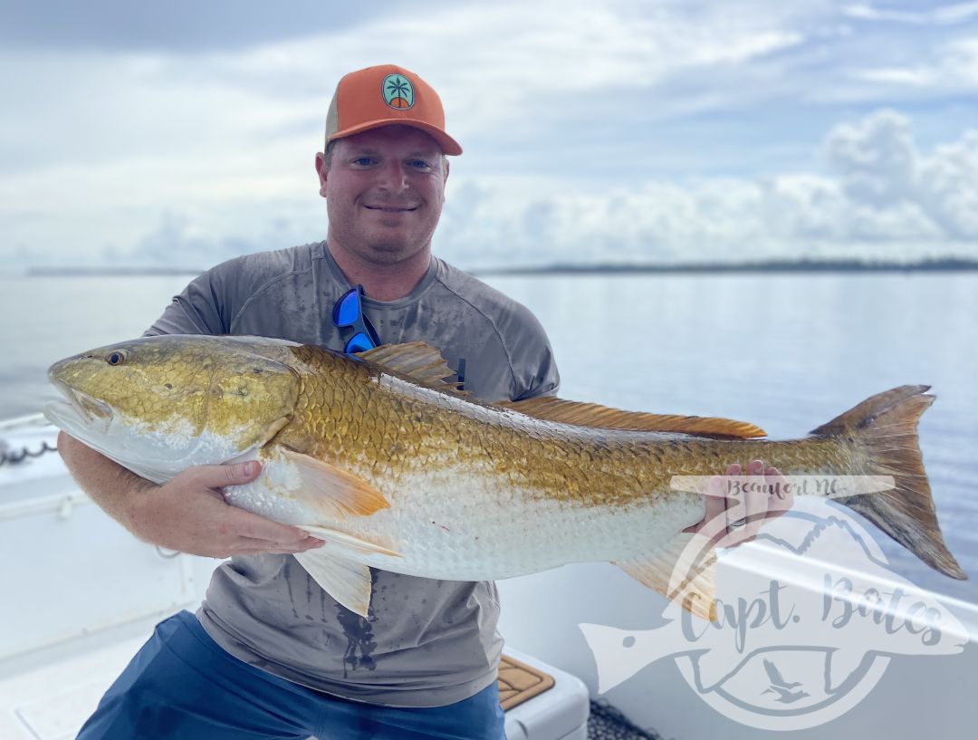 We had been on a consistent trophy drum bite for a while up until yesterday, midday bites and finding fish late into a 5hr trip can be frustrating. I highly recommend booking 8hr trips to allow us to make the big runs in search of these fish on days things are difficult.