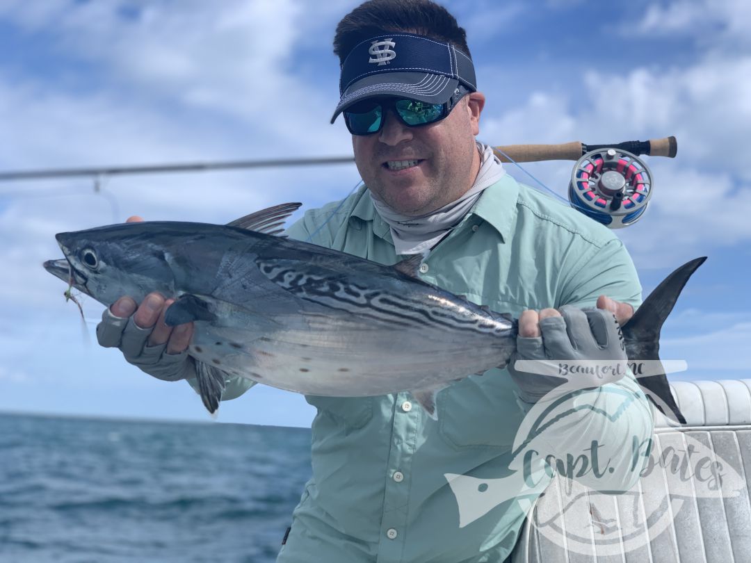 Nick and Greg got to see some of the best action we’ve had albie fishing around Cape Lookout all year! 

Fish were on baitballs and eating well! 

Nick caught his first albies ever! And Greg got his first ones ever on the fly rod!

I love seeing the excitement anglers show when they witness the mayhem this fish create when they are feeding good! This fishing never gets old to me and still get wound up seeing guys connect!