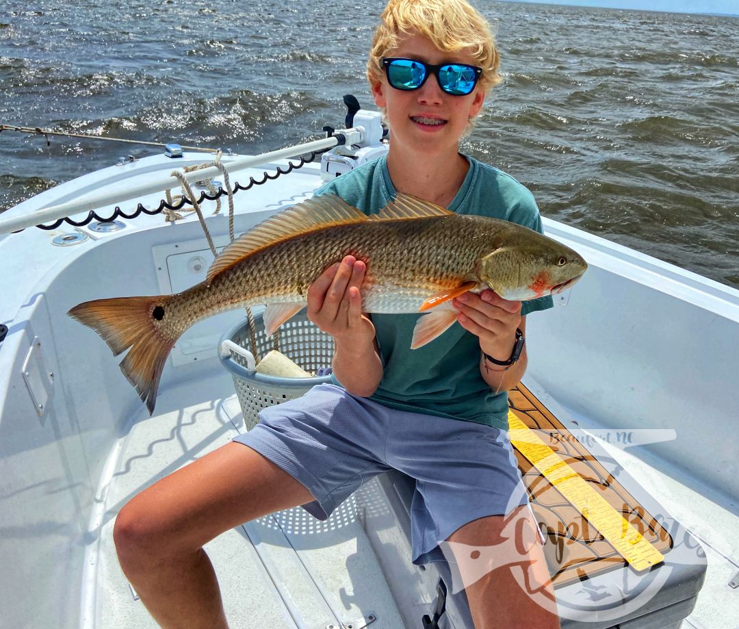 Wesley and his dad fished with me last month and wanted quantity over quality so we wore out the sea mullet, this month they wanted to try for quality. Wesley and Oscar absolutely slayed the redfish this afternoon! Mid to over slots kept them busy for a couple hours they even started netting each other’s fish! Great time bending the Temple Fork Outfitters inshore medium and listen to the Florida Fishing Products osprey 3k sing!