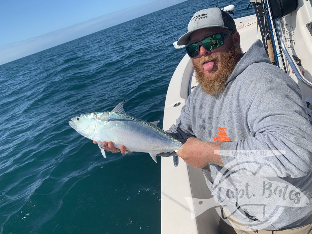 Fish were a little harder to find during the Cape Lookout False Albacore Festival tournament, but we put our noses to the ground and tracked em down!

We boated fish on the fly and spinning rods, Nick put the most albies in the boat for the tournament but we got beat out by the guys that loaded up on bluefish racking up points.

None the less, we had another great day and had an acre of fat alberts feeding up top on a giant bait ball for 30 minutes all the ourselves!! Nicks first fish of the day was the biggest I’ve seen yet this year! A solid 12-14 pounder!

Thanks for an awesome few days guys! I love meeting new friends and catching awesome fish!!!