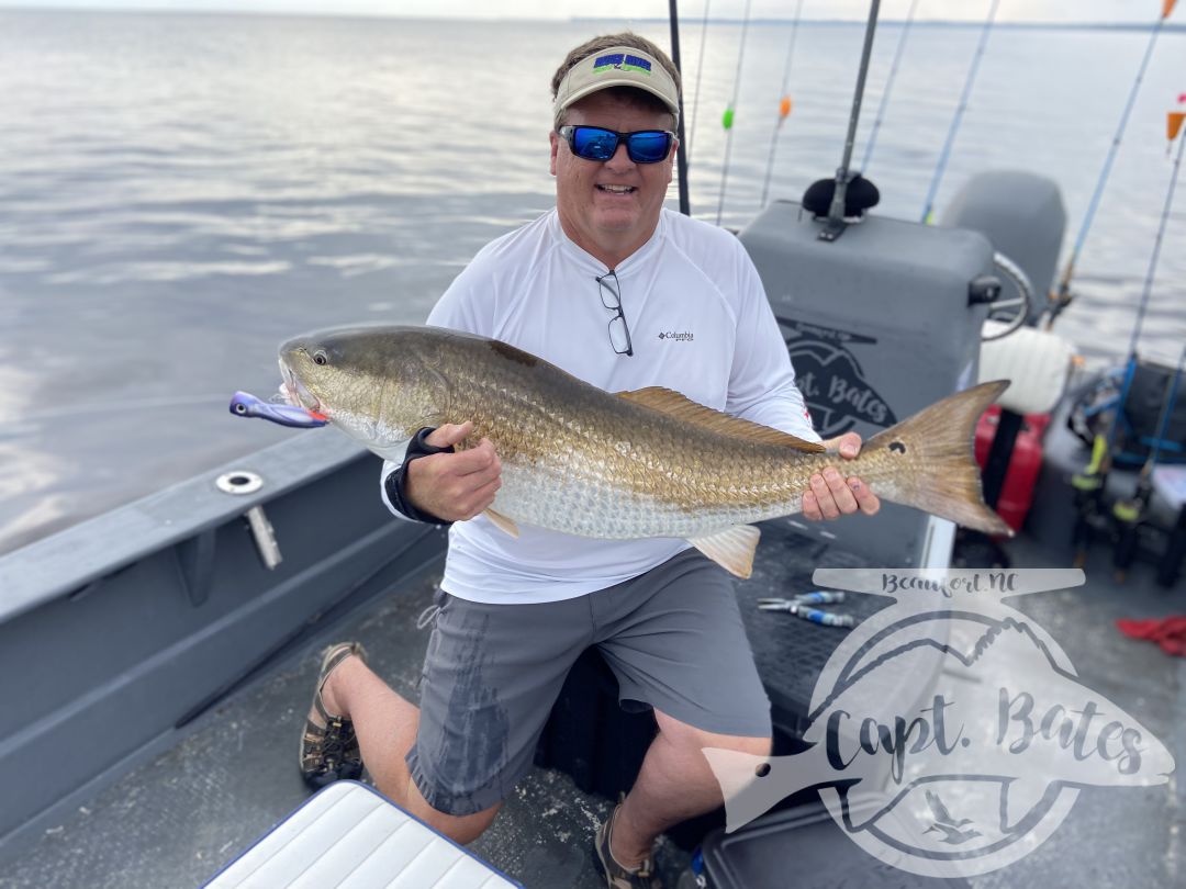 Well that’s a pleasant surprise! Throwing topwater for slot redfish when these adult trophy made a strong showing! Had em hitting topwater, swim baits, and popping corks. Summer inshore fishing is in full swing and looking really good!