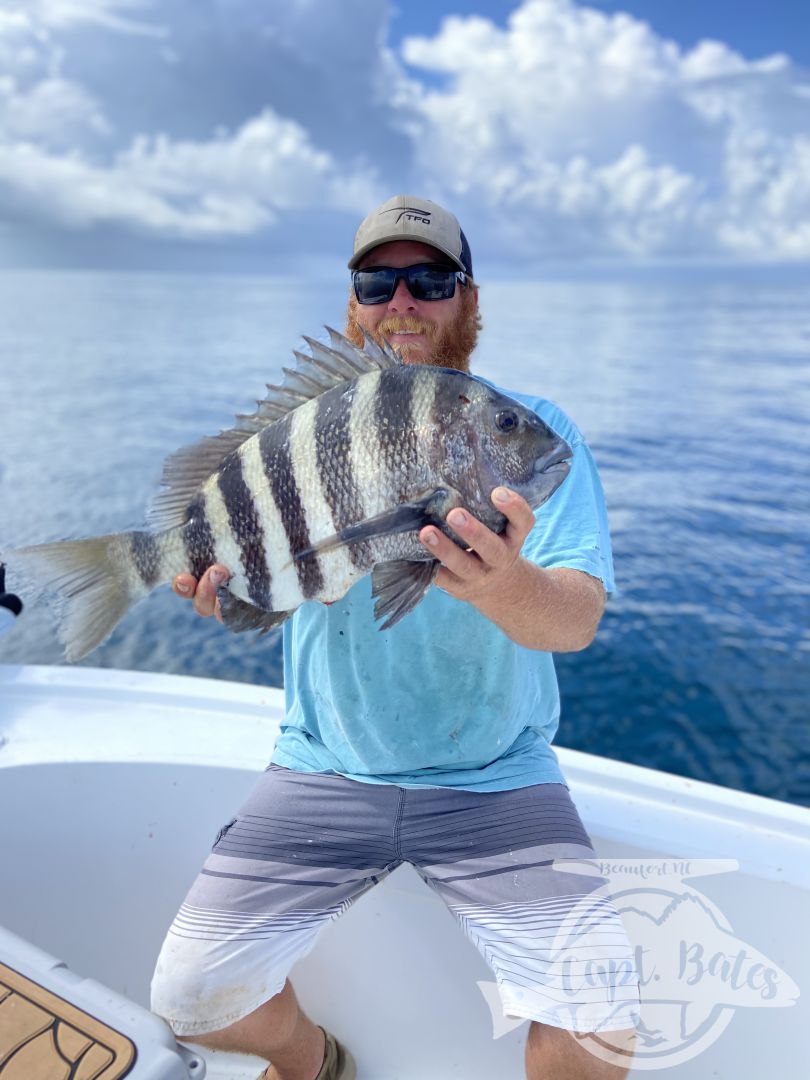 Been some really solid fishing lately with many citation fish! Sheep’s head and big Spanish mackerel with some big black drum as well!