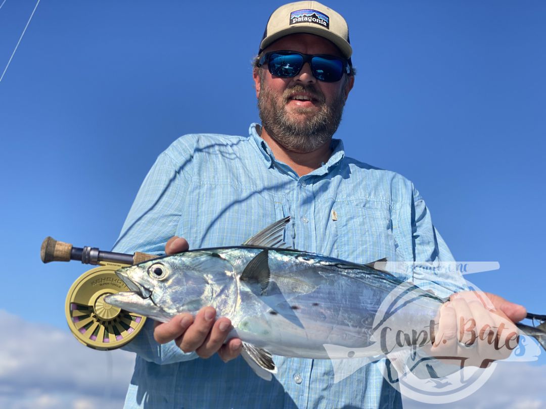 After being taunted by these unicorns for a week!  Finally, today one of my guys was able to put the @templeforkoutfitters inshore medium to the test! Seen a few bust in the albies and had textbook marks, then watched this guy eat a soft plastic 30’ from boat. Few other misses, but a citation blackfin on trout gear and #albiesnaxx in addition to first albies on the fly for these guys turned a slow morning into an incredible afternoon! Picked away at a few fish all morning then found the blitzes we were looking for! Ryan Hurd
#blackfin #blackfintuna #albies #falsealbacore #albies #lighttackle #flyfishing #flyfishingaddict #fishingaddiction #flyfishingadventures #flyfishingjunky #atlanticbeachnc Temple Fork Outfitters