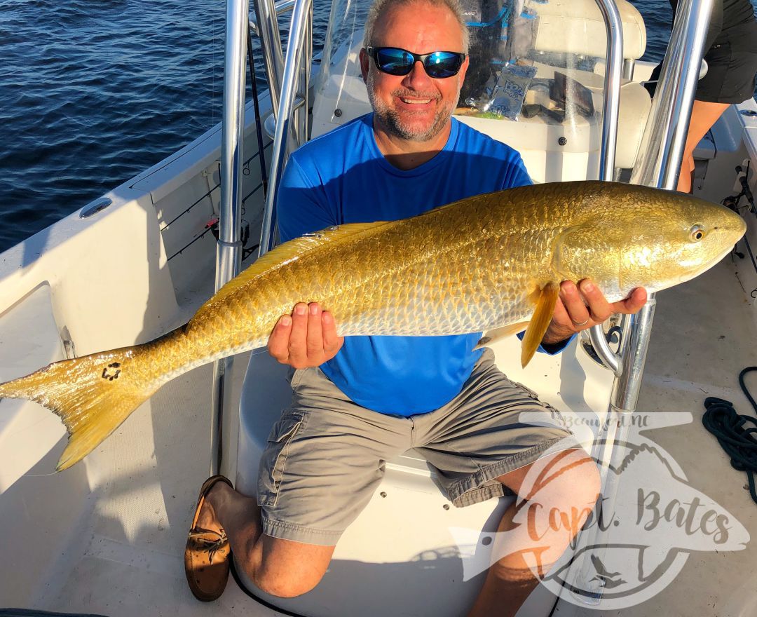 What an awesome couple I had the pleasure of having on the boat today! Mr Harvey has been fishing all over the country, and has been wanting a citation red drum for a long time. He also really wanted to hit that 50” mark, well he did both today! Him and Mrs. Tina are trying to spend more time together, and experience different things. Well, they got to experience about the best of what the Neuse River has to offer! Mrs. Tina went from admitting she didn’t have much experience fishing, to casting and hooking trophy fish like a pro, she ended up landing several all on her own. Seeing them learn what we’re looking for and how to properly work the artificial bait on the TFO Rods was great, congrats guys! Look forward to sharing the boat with y’all again. 