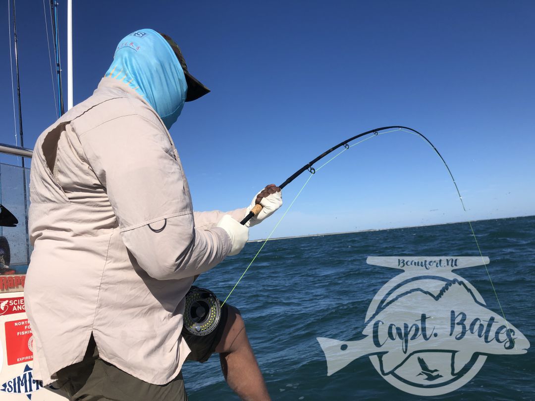 I was honored to be asked to take 2 national percipients of Project Healing waters Fly Fishing inc. fishing for 3 days during the Cape Lookout False albacore festival.

Nick is from Atlanta and Greg from Sleepy hollow NY. I couldn’t have asked for a couple better guys to have on the boat! We laughed, talked smack, and caught big fish until their arms hurt!

Albies were scarce Thursday, but the shrimp boats were out and the sharks were plentiful! Site casting to these sea monsters with heavy fly tackle is intense! Both guys landed sharks over 6’ and had lots of eats and hook ups!