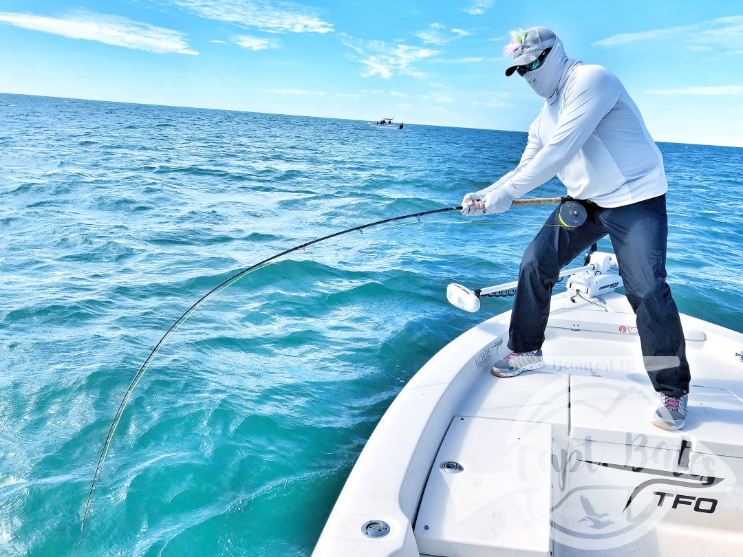 I was honored to be asked to take 2 national percipients of Project Healing waters Fly Fishing inc. fishing for 3 days during the Cape Lookout False albacore festival.

Nick is from Atlanta and Greg from Sleepy hollow NY. I couldn’t have asked for a couple better guys to have on the boat! We laughed, talked smack, and caught big fish until their arms hurt!

Albies were scarce Thursday, but the shrimp boats were out and the sharks were plentiful! Site casting to these sea monsters with heavy fly tackle is intense! Both guys landed sharks over 6’ and had lots of eats and hook ups!