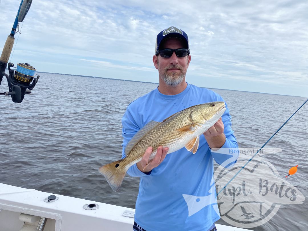 Topwater redfishing today! Handful of slots and trout, conditions for old drum fishing never came together for us.