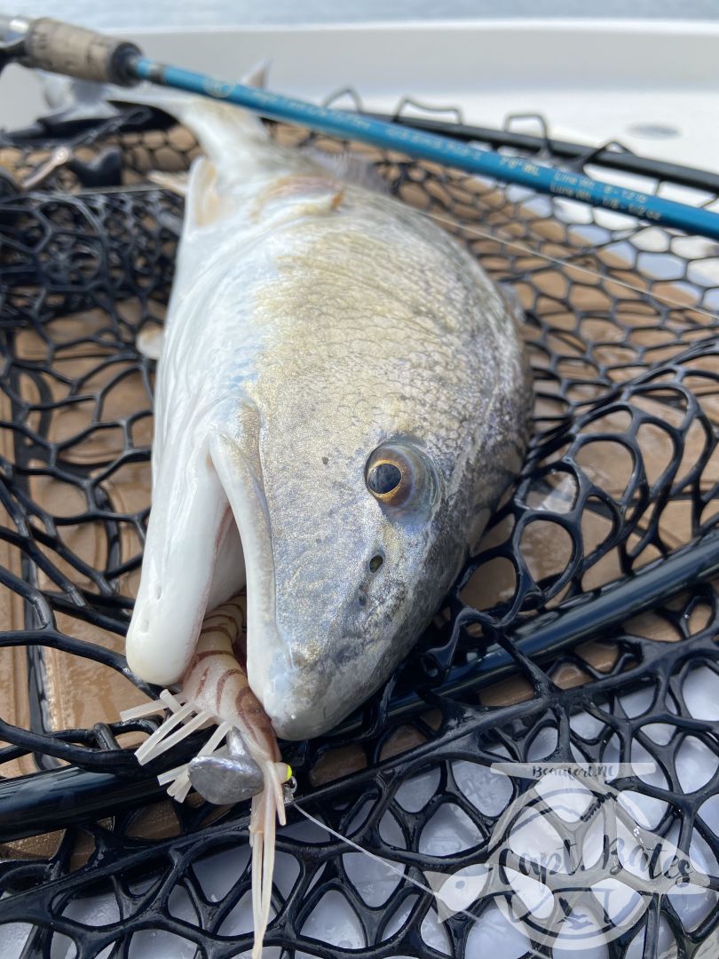 I don’t fish much by myself any more, but I got to today so I Checked out some areas I haven’t been to for a long time and some I’ve never fished. It’s easy to get in a grind and forget what we love about fishing, today was a great refresher for me. I love to learn and explore, oh and catching nice slot fish isn’t to bad either!