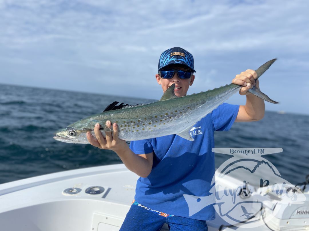 Been some really solid fishing lately with many citation fish! Sheep’s head and big Spanish mackerel with some big black drum as well!