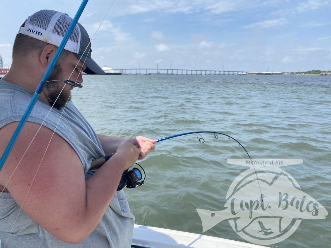 Hosted a repeat group from Ohio, boated a few spanish mackerels just under 5lbs, several species of sharks including two hammerheads, these young boys live battling the toothy critters!