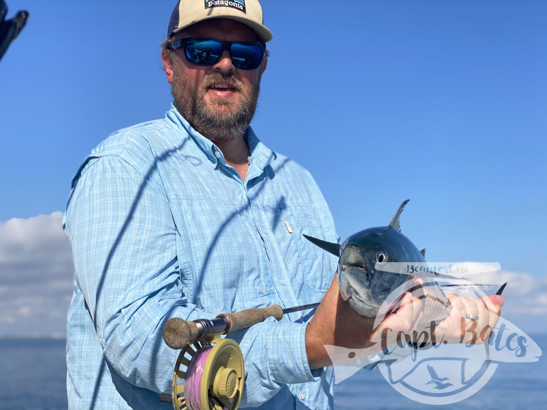 After being taunted by these unicorns for a week!  Finally, today one of my guys was able to put the @templeforkoutfitters inshore medium to the test! Seen a few bust in the albies and had textbook marks, then watched this guy eat a soft plastic 30’ from boat. Few other misses, but a citation blackfin on trout gear and #albiesnaxx in addition to first albies on the fly for these guys turned a slow morning into an incredible afternoon! Picked away at a few fish all morning then found the blitzes we were looking for! Ryan Hurd
#blackfin #blackfintuna #albies #falsealbacore #albies #lighttackle #flyfishing #flyfishingaddict #fishingaddiction #flyfishingadventures #flyfishingjunky #atlanticbeachnc Temple Fork Outfitters