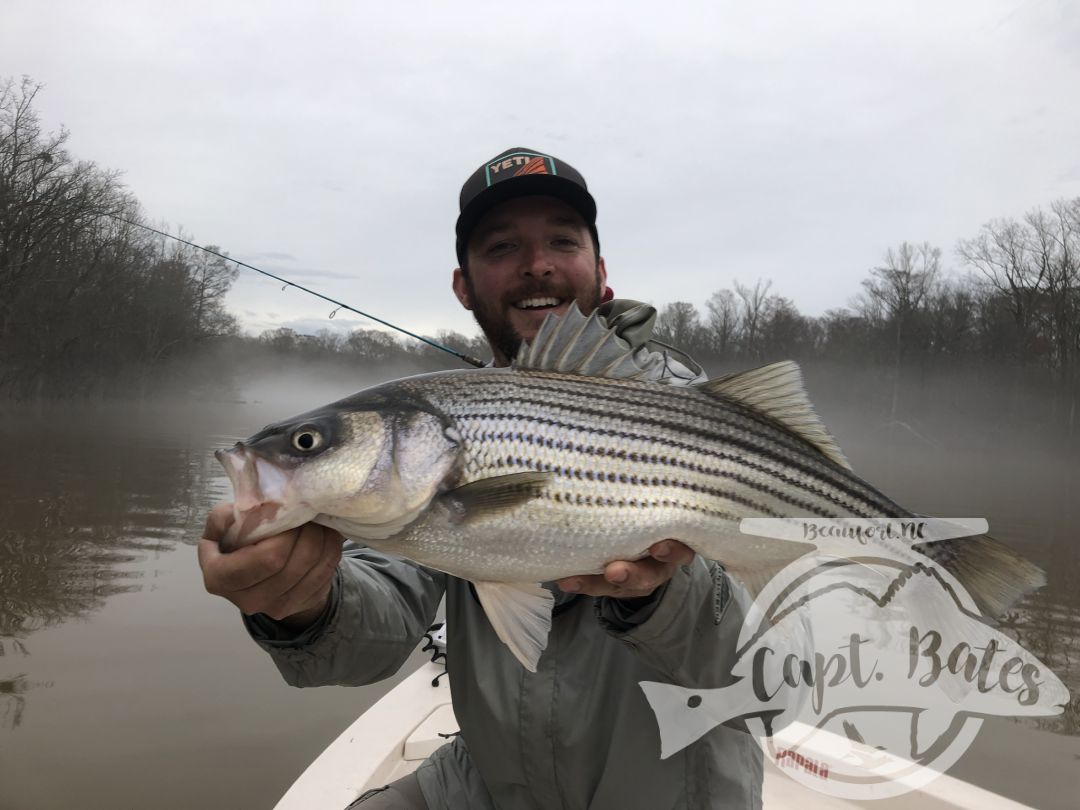 Went exploring in some new waters with a good friend and my main man Buddy. It paid off with non stop rockfish action on jigs, that thump is addictive!