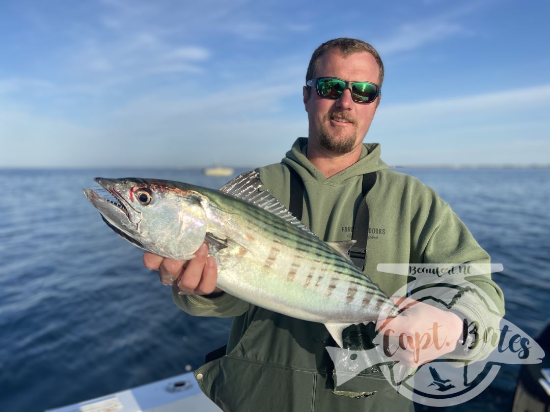 Had a great time showing a fly guy from the Adirondacks some new species and what NC has to offer! Started out slow early but stayed the course and got on a pretty decent Atlantic Bonito sight casting bite. After a handful of good fly eats my man was finally able to check that one off his list. We played with them for a while before deciding to take a ride.

I laid out a few options for him and he said “I just want something that pulls hard” so off to the trawlers we went! He was stoked just to witness the mayhem, after a few nasty eats it was time for battle! 
 
Stopped on the way in and played with some blitzing blues on poppers!

Perfect April day in our neck of the woods!