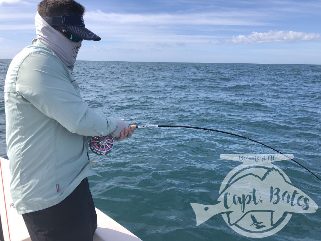 Nick and Greg got to see some of the best action we’ve had albie fishing around Cape Lookout all year! 

Fish were on baitballs and eating well! 

Nick caught his first albies ever! And Greg got his first ones ever on the fly rod!

I love seeing the excitement anglers show when they witness the mayhem this fish create when they are feeding good! This fishing never gets old to me and still get wound up seeing guys connect!