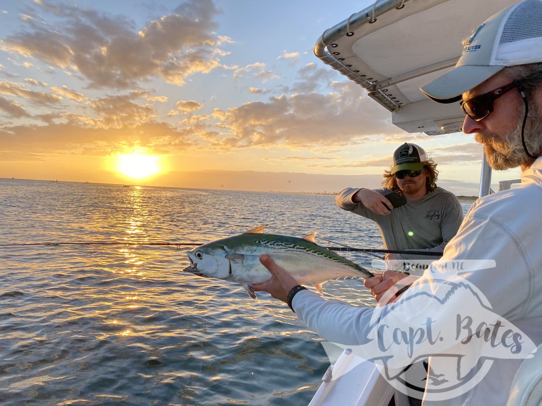 “Organized Chaos” was the phrase of the afternoon on an incredible false albacore blitz! Doubles, triple hookups on fly, swimming to remove a fly line from prop, fish Bustin so close to boat hard to cast to, and 11year old Buddy yelling “Trout set!” To Greg 