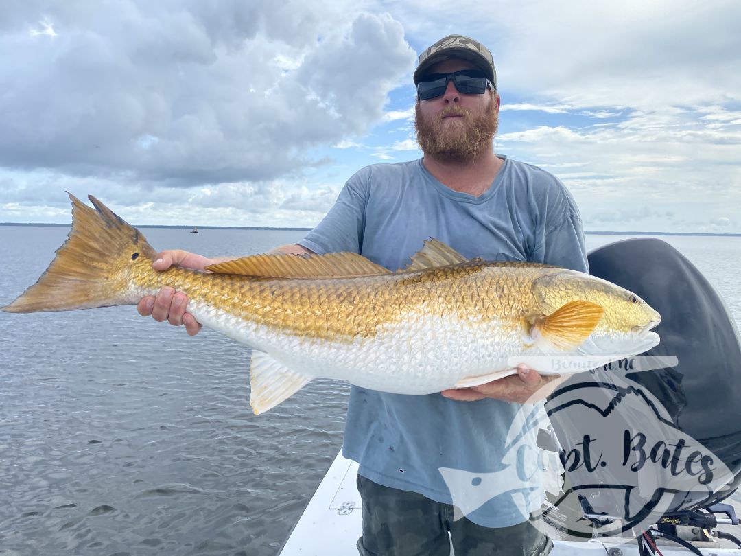 We officially kicked off our trophy drum season today! As they have finally shown up in good numbers, slightly delayed start this year but fortunately, the trout and puppy drum fish has been dynamite to hold us over, but it’s now time for the main event! Killer day with my main man Buddy, double digit landed multiple missed opportunities and even had on try to eat the popping cork! World class Neuse river redfishing at its finest!