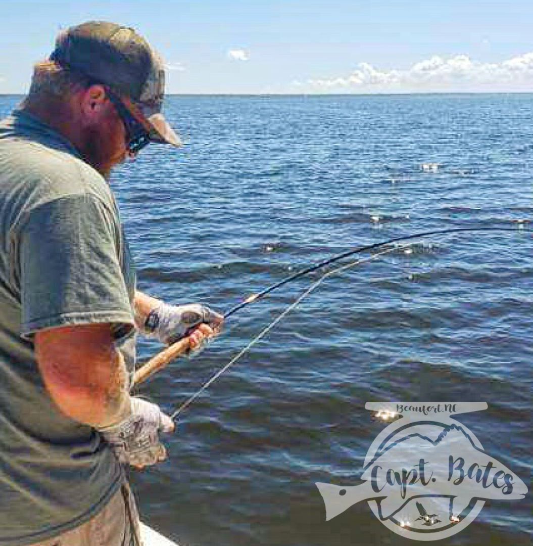 Fly rod bowed on one a Neuse River monster redfish!