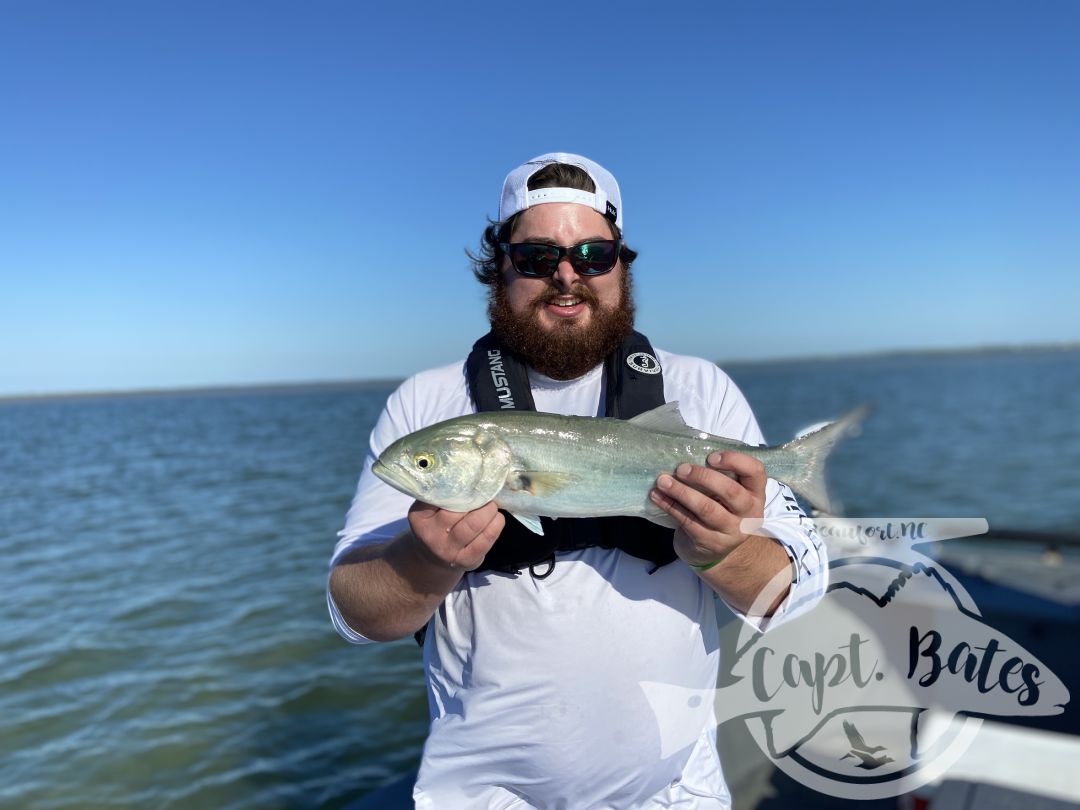 The last week has been full of Spanish mackerel, sharks, redfish and some fun size bluefish on topwater! 