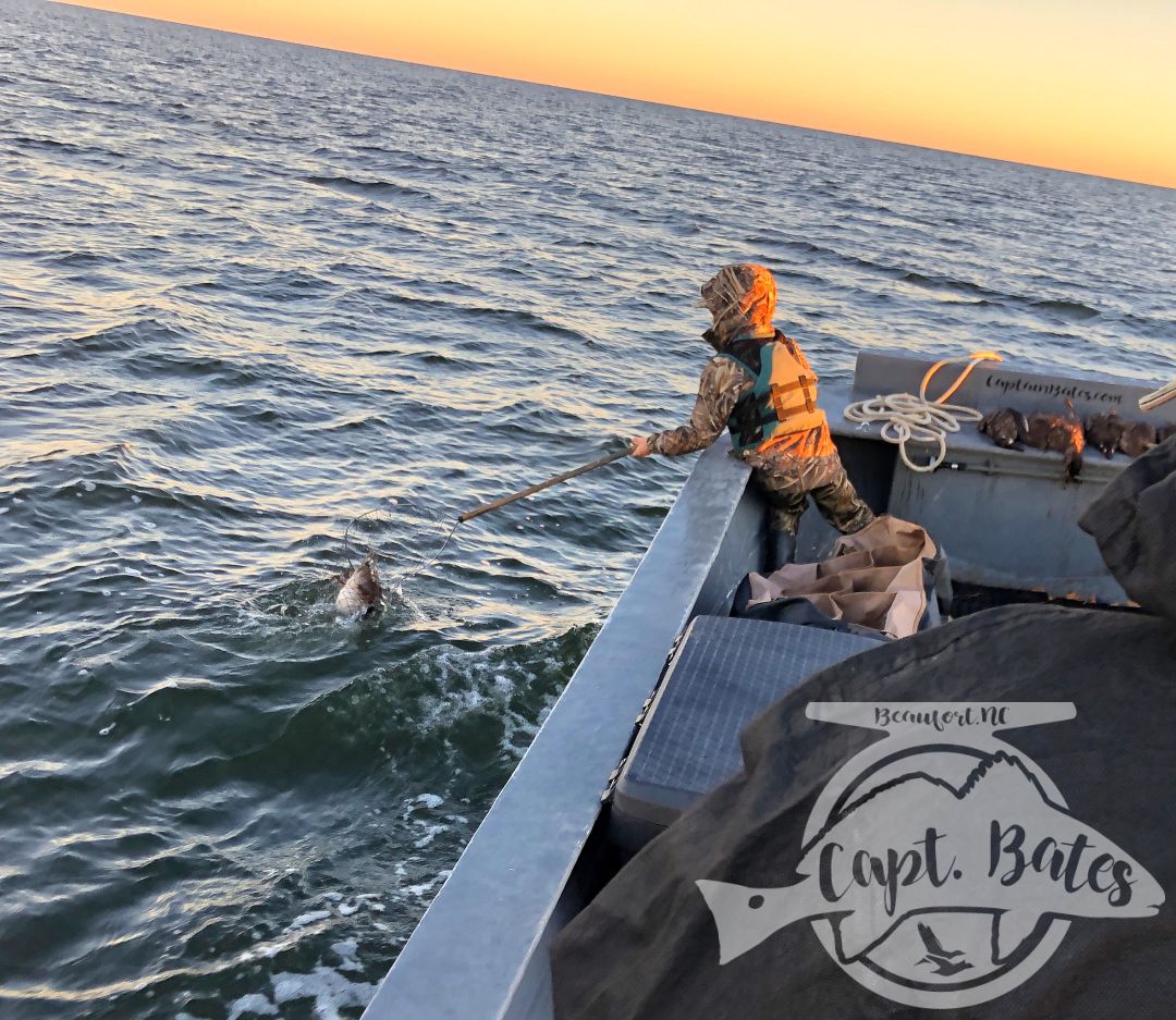 Rough day with crazy storms and wind made yesterday a no go. But we made up for it with this crowd today with TONS of shooting, a 4 man limit of surf, commons, and a white wing scooter!