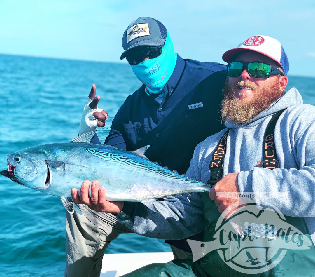 Nick and Greg got to see some of the best action we’ve had albie fishing around Cape Lookout all year! 

Fish were on baitballs and eating well! 

Nick caught his first albies ever! And Greg got his first ones ever on the fly rod!

I love seeing the excitement anglers show when they witness the mayhem this fish create when they are feeding good! This fishing never gets old to me and still get wound up seeing guys connect!