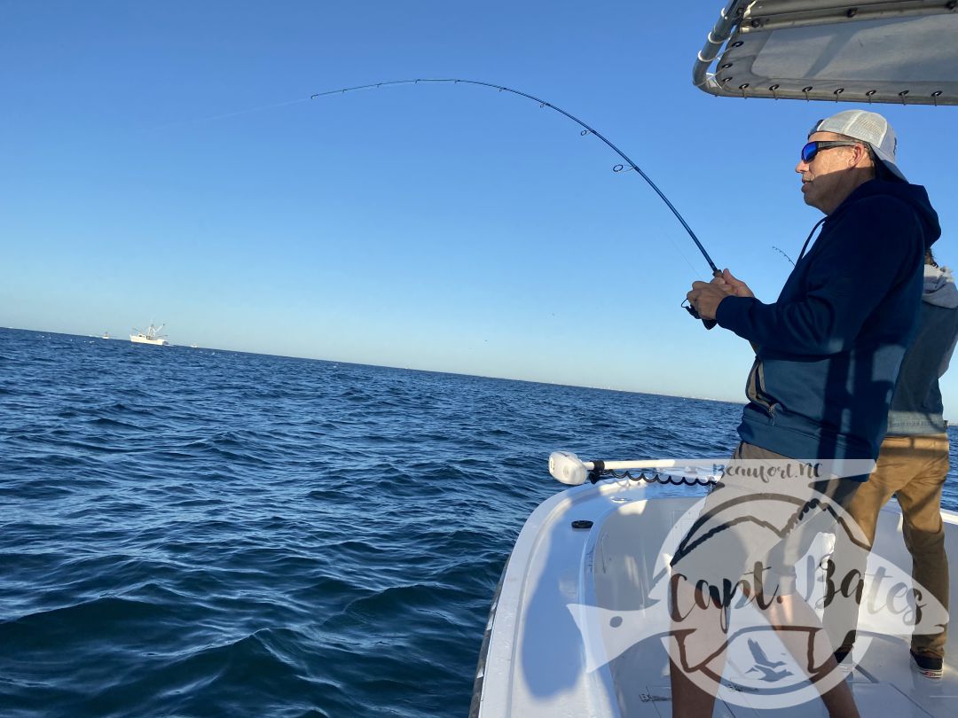 Wrapped up my Albie season with an excellent day and a great family! Mr Will said he wanted to introduce his sons to screaming drag, well we did that for almost 2 hours straight first thing and then a lot more. Blind casting on top, jigging marks, and baitball blitzes kept us busy untill the tide slacked out, with a few really solid fish mixed in. Then we jigged some nice graytrout, spanish and a few more albies before sending them home happy and tired!